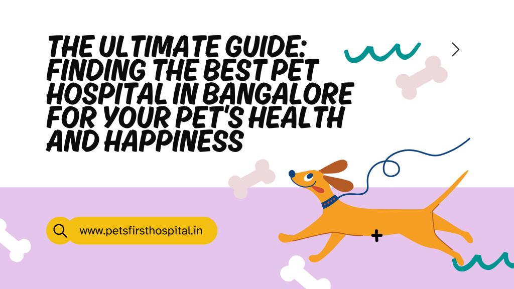 The Ultimate Guide to the Best Pet Hospital in Bangalore